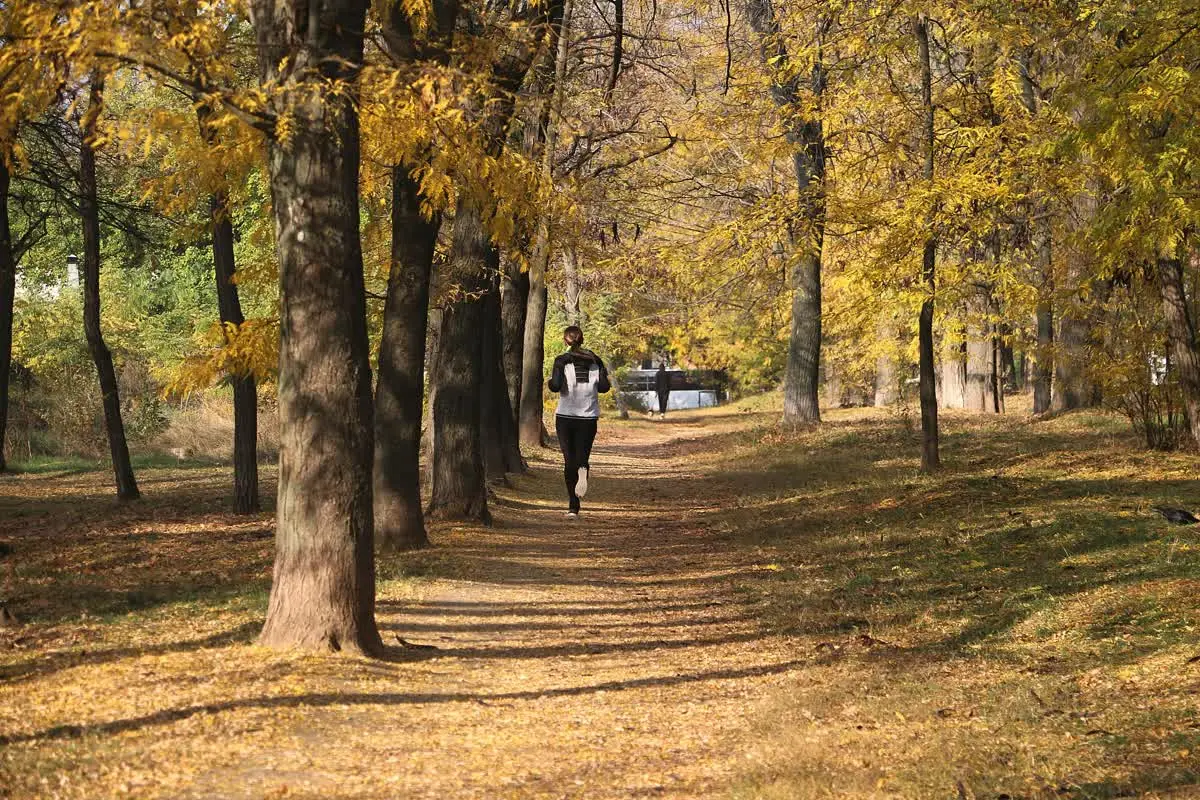 Back to School, Back to Shape: Why Fall is the Perfect Time to Refocus on Fitness in Duluth